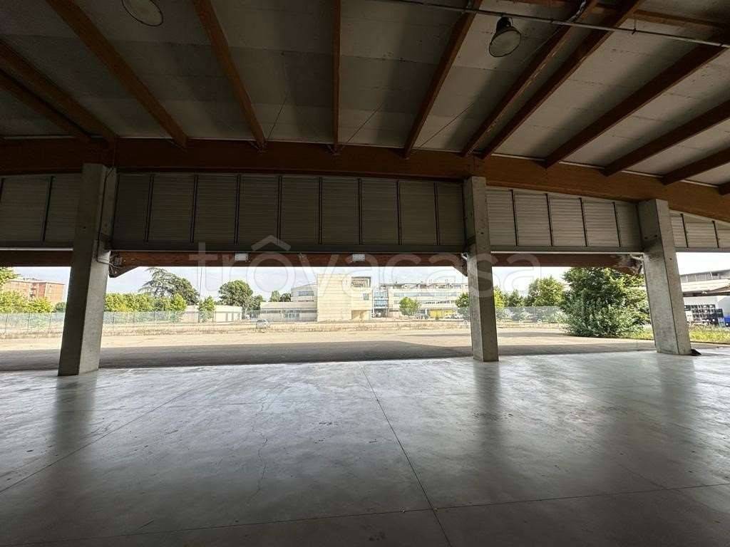 immagine annuncio 1 di 14