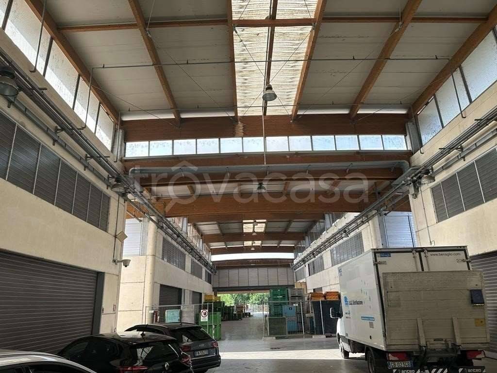 immagine annuncio 4 di 14