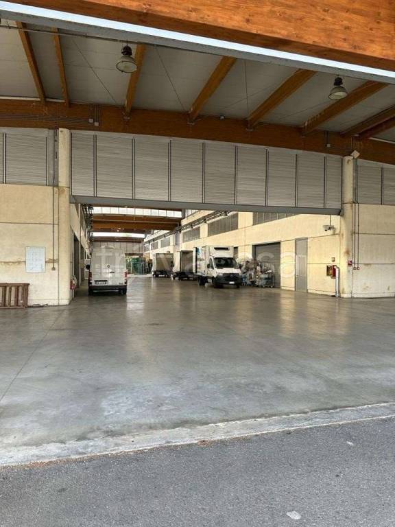 immagine annuncio 6 di 14