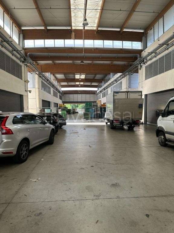 immagine annuncio 7 di 14