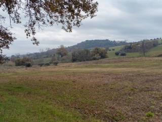 Terreno residenziale in vendita a offagna via vecchia torre