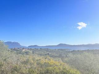 Terreno agricolo in vendita a golfo aranci via molara