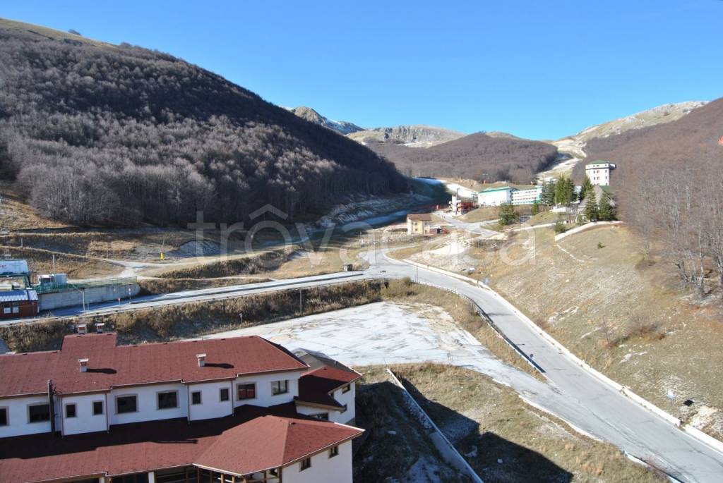 immagine annuncio 4 di 7