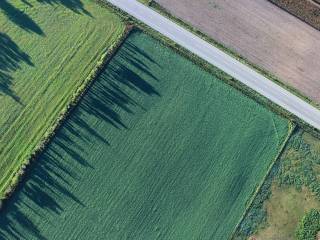 Terreno agricolo in vendita a san quirino 