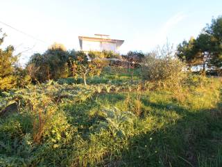 Terreno residenziale in vendita a massignano fonte trufo