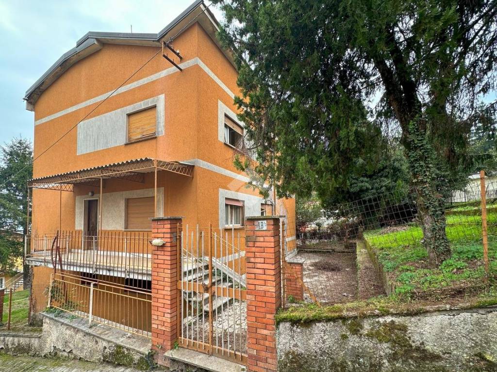 immagine annuncio 1 di 13