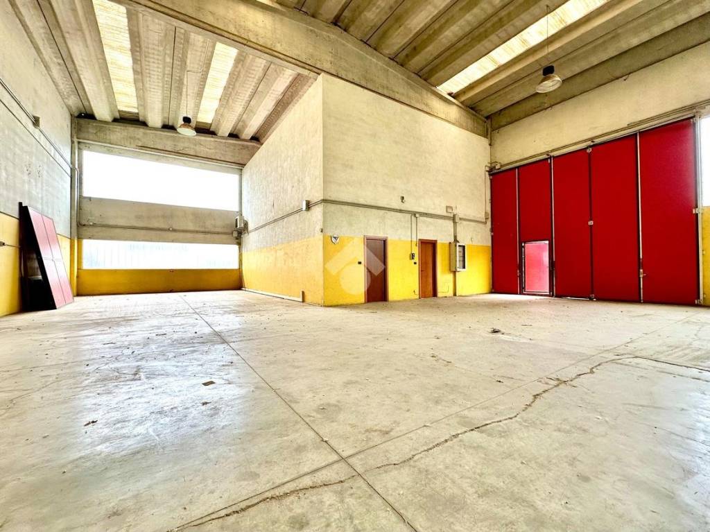 immagine annuncio 9 di 15