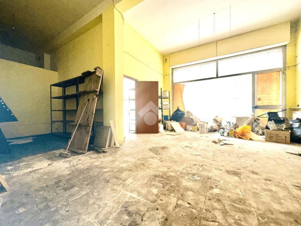 immagine annuncio 3 di 14