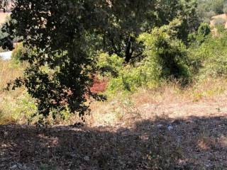 Terreno agricolo in vendita ad agropoli via san vito