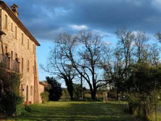 Casale in in vendita da privato a castel giorgio sp47