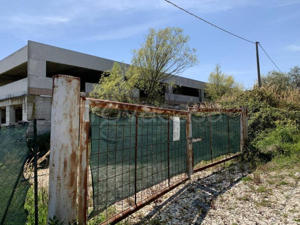 immagine annuncio 3 di 6