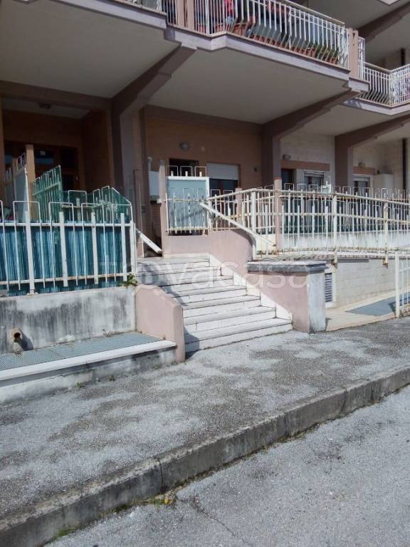 immagine annuncio 6 di 11
