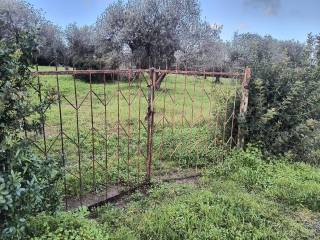 Terreno agricolo in vendita ad alghero strada provinciale alghero-bosa