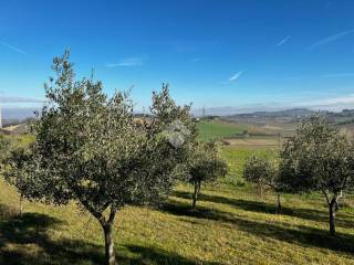 Terreno agricolo in vendita a rimini via santa aquilina