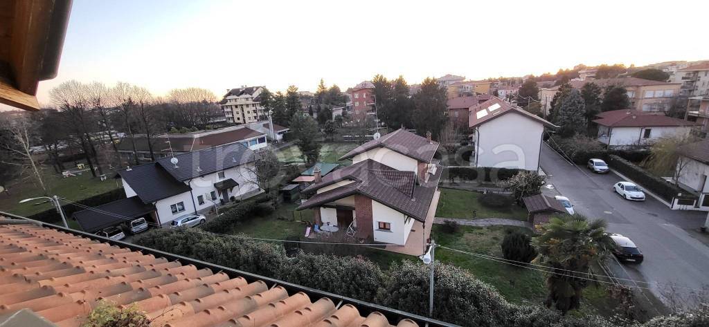 immagine annuncio 12 di 15