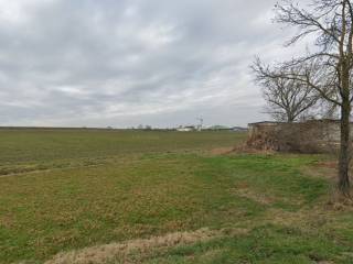 Azienda agricola all'asta a san rocco al porto cascina berghente