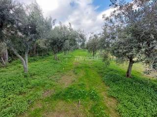 Terreno agricolo in vendita a milazzo via della concordia