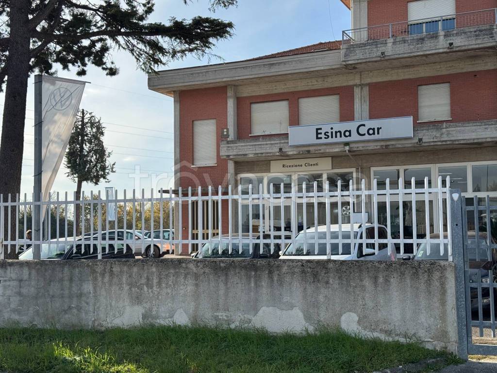 immagine annuncio 1 di 12