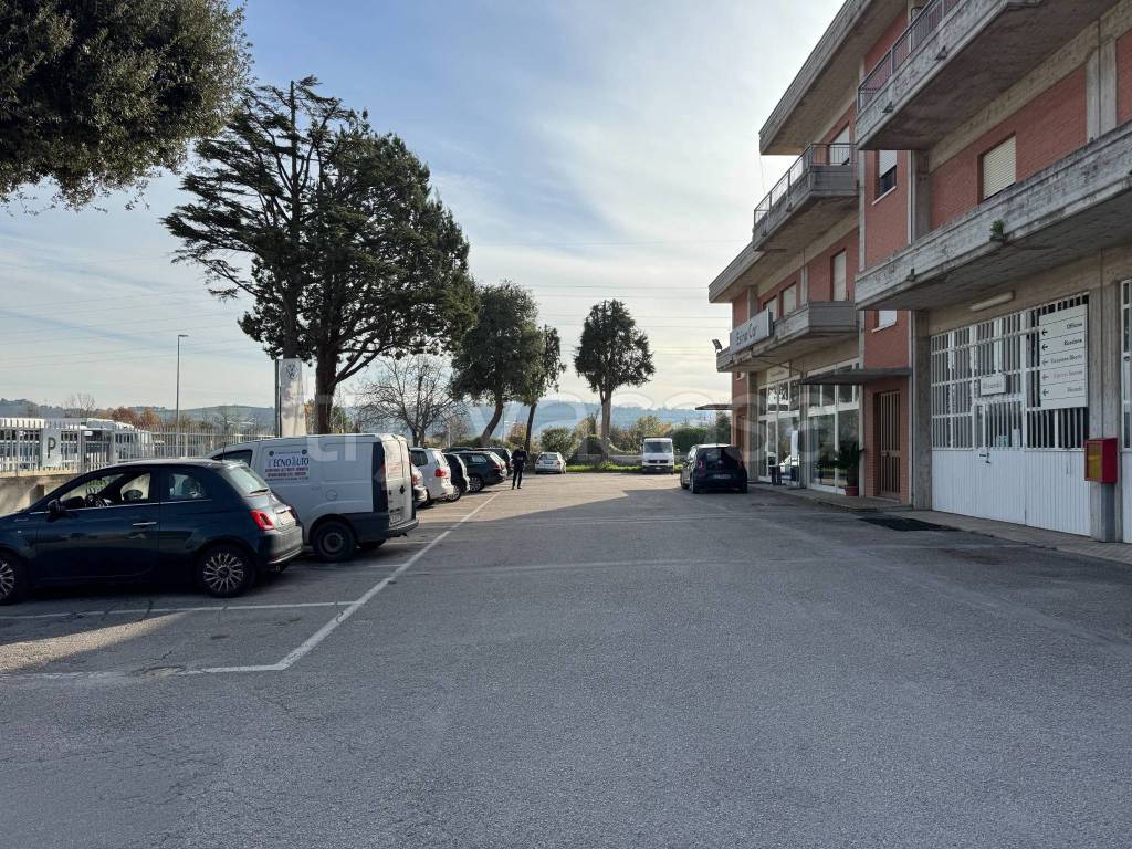 immagine annuncio 4 di 12