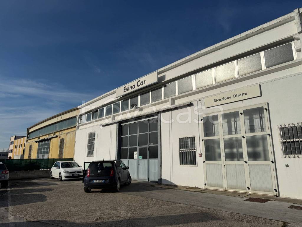 immagine annuncio 7 di 12