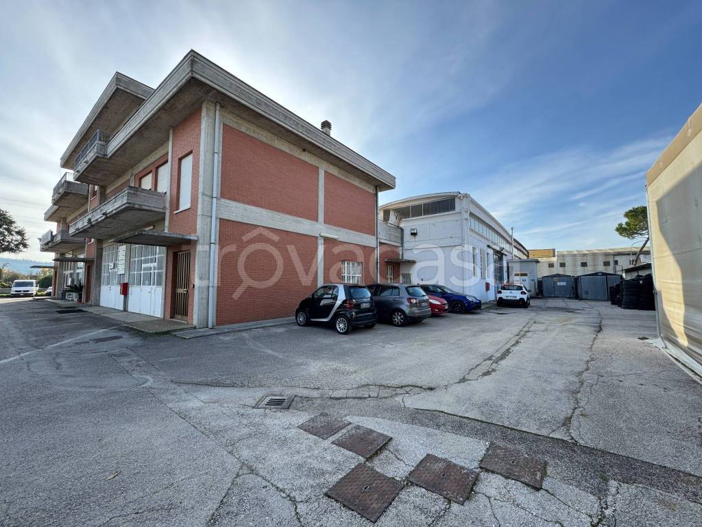 immagine annuncio 10 di 12