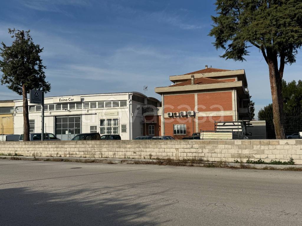 immagine annuncio 11 di 12