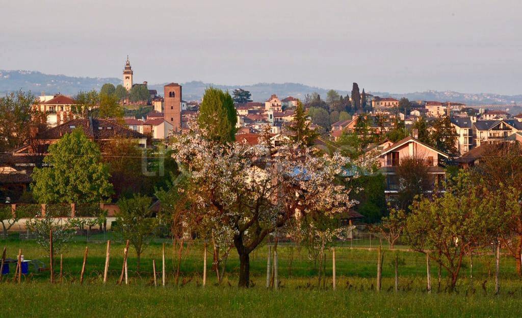 immagine annuncio 5 di 7