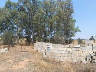 Terreno agricolo in vendita a gallipoli strada vicinale arene spirito santo