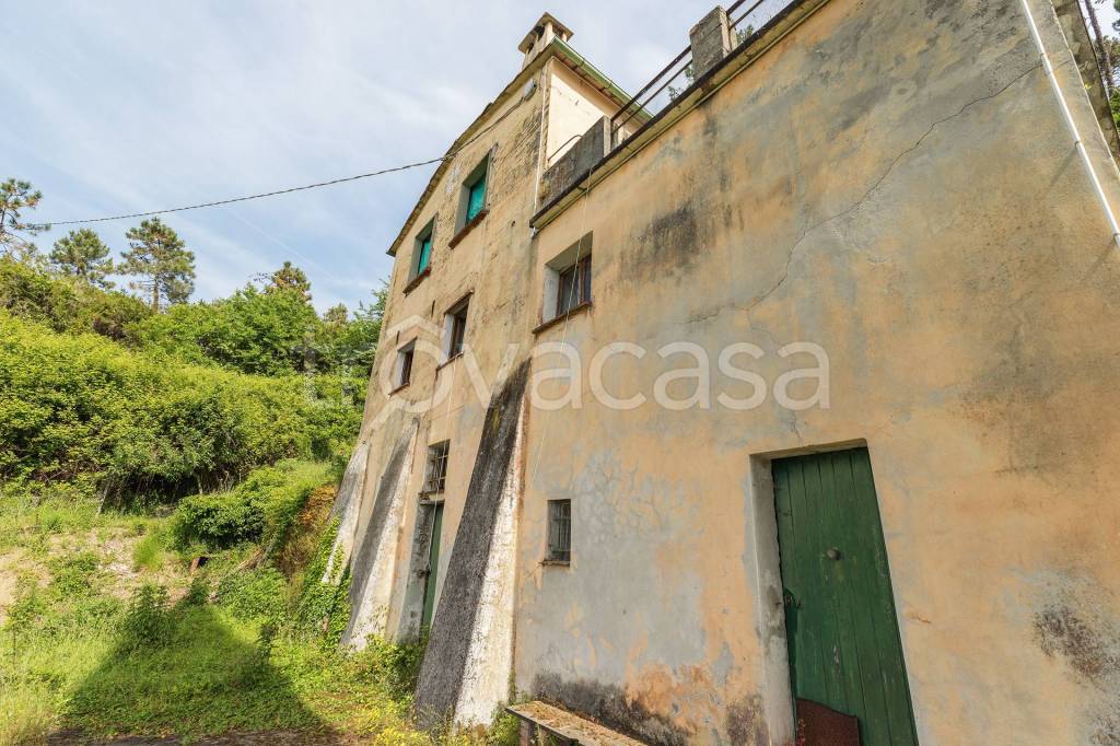 immagine annuncio 5 di 7