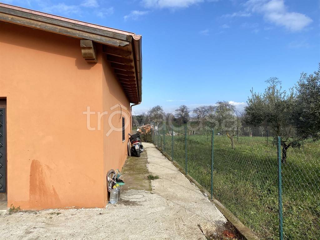 immagine annuncio 1 di 6