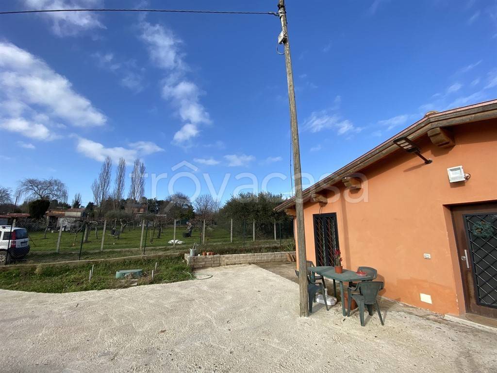 immagine annuncio 2 di 6