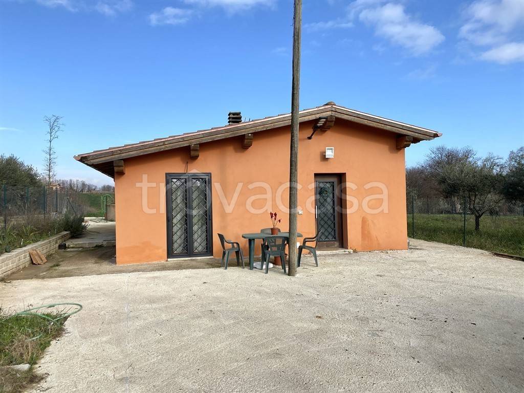 immagine annuncio 4 di 6