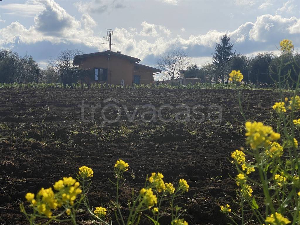 immagine annuncio 5 di 6