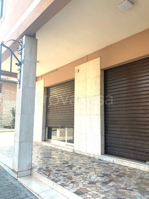immagine annuncio 5 di 6