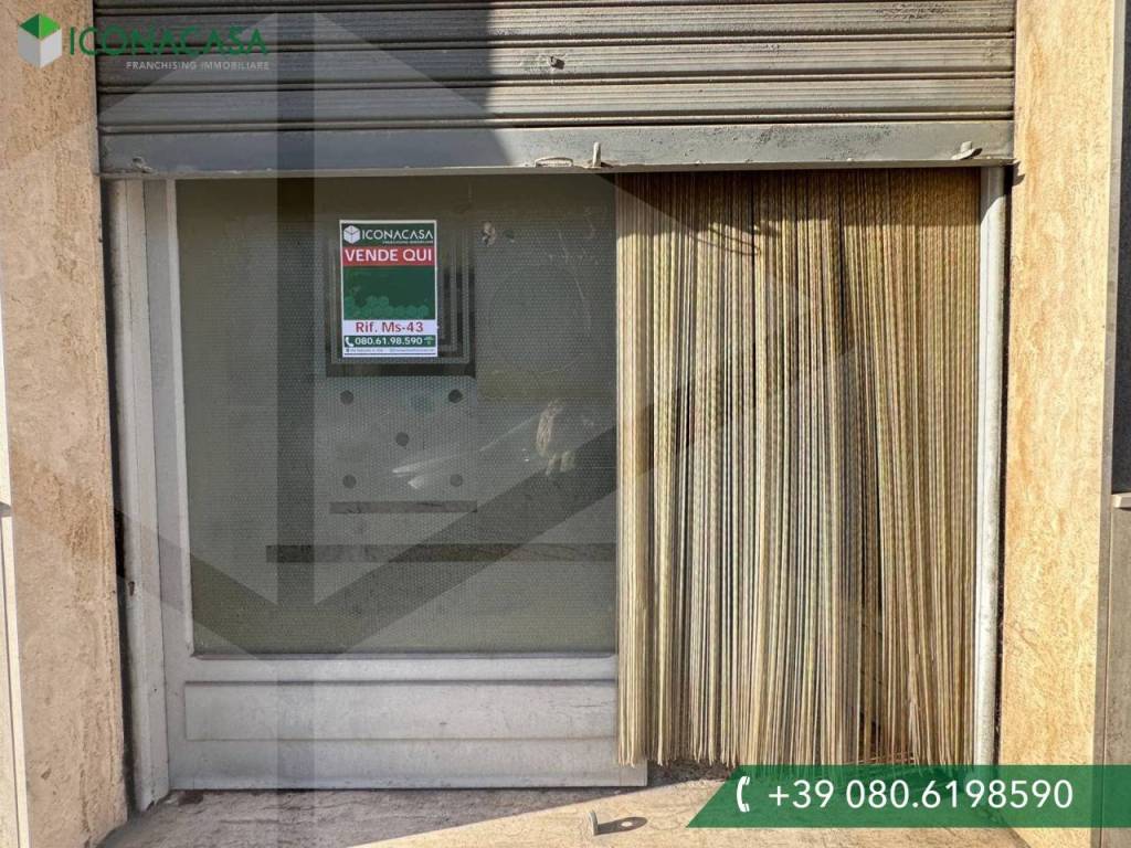 immagine annuncio 2 di 9