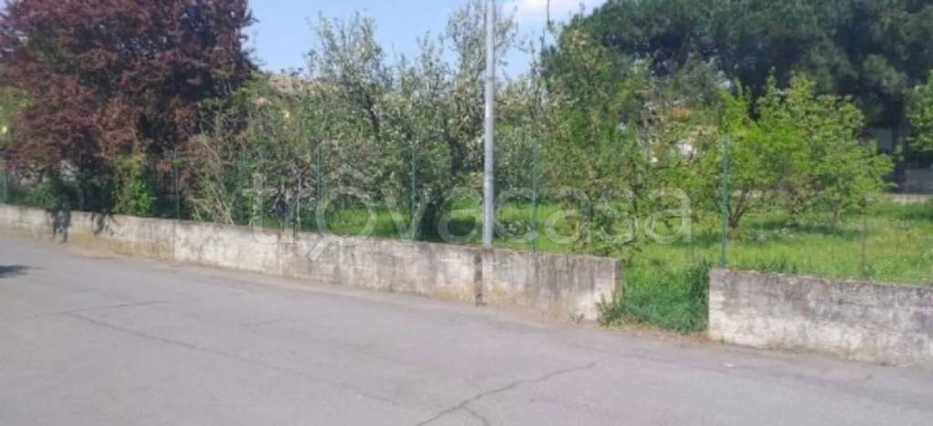 immagine annuncio 4 di 6