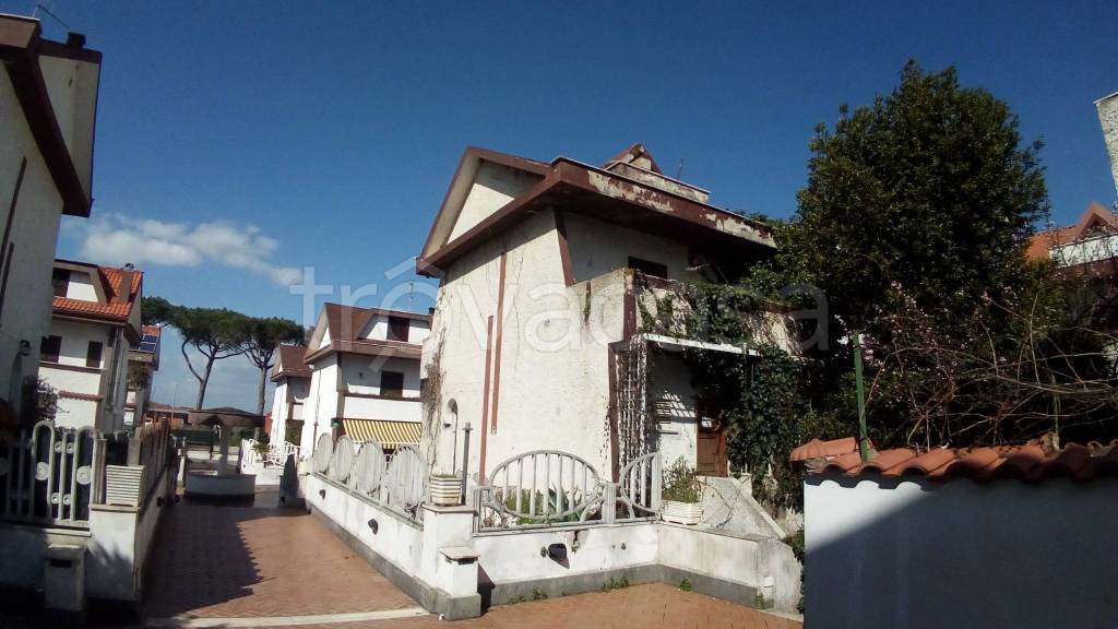 immagine annuncio 3 di 11