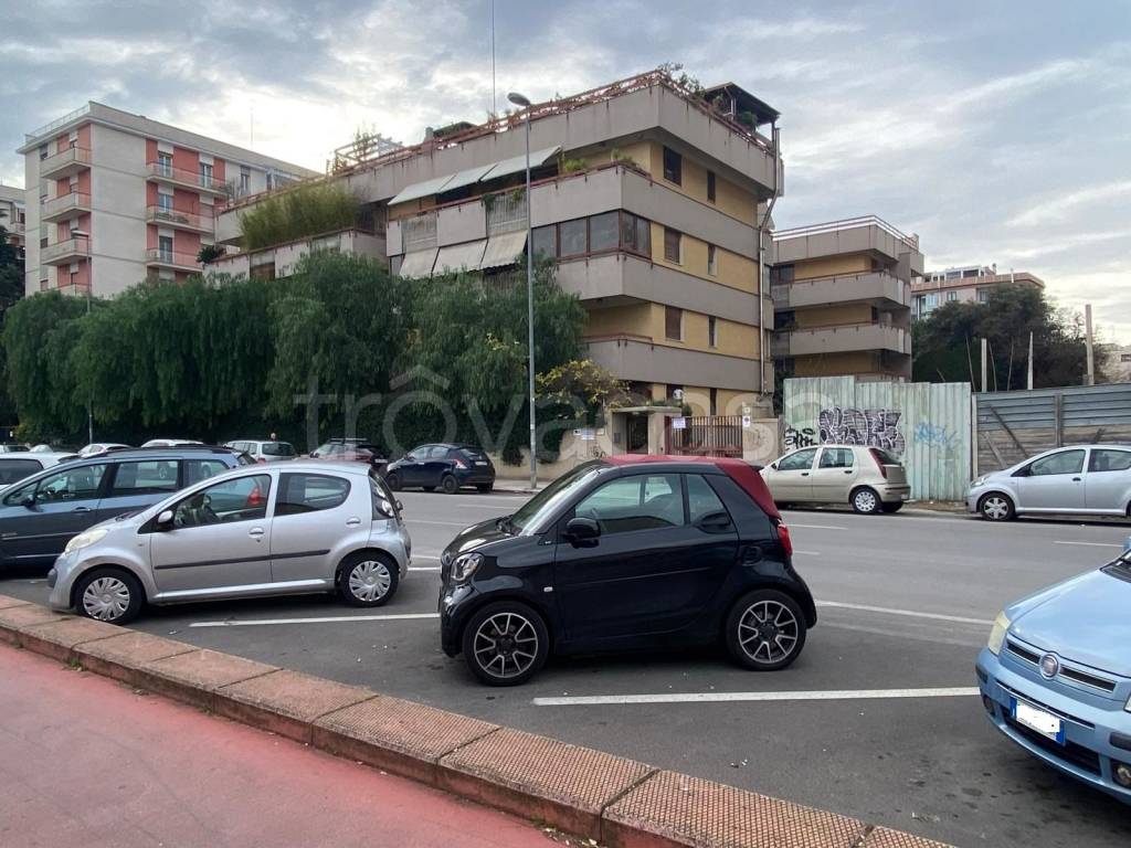 immagine annuncio 2 di 14