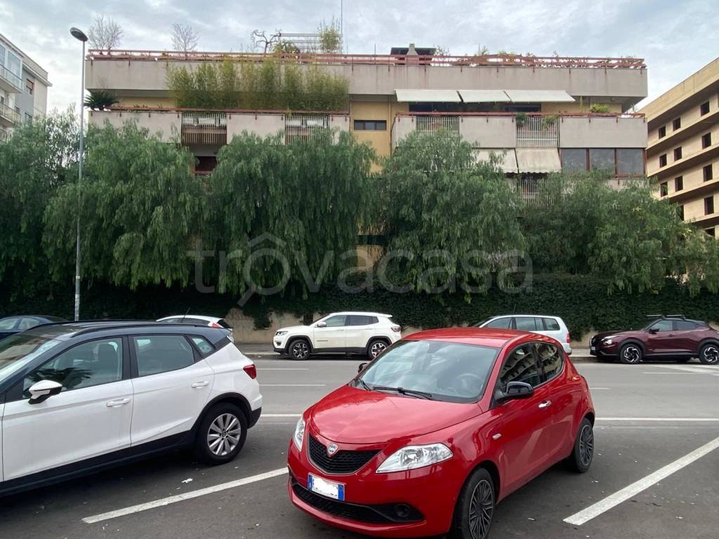 immagine annuncio 5 di 14