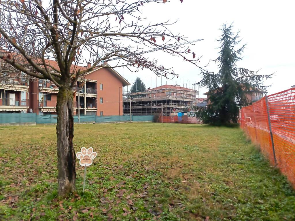 immagine annuncio 3 di 10