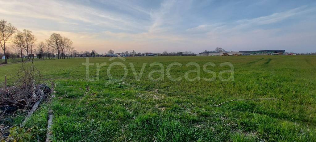 immagine annuncio 4 di 7