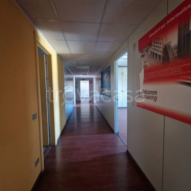 immagine annuncio 10 di 12