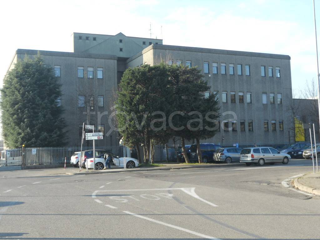 immagine annuncio 11 di 12