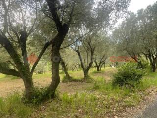 Terreno residenziale in vendita ad anagni via paterno, snc