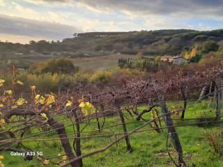 Terreno agricolo in vendita a grottaferrata via anagnina, 407