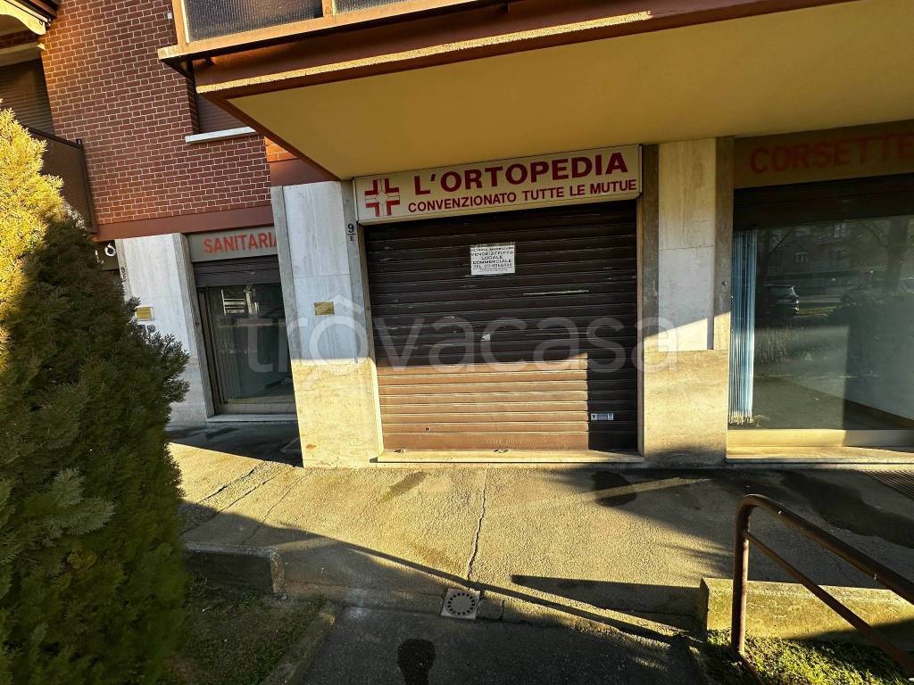 immagine annuncio 8 di 15