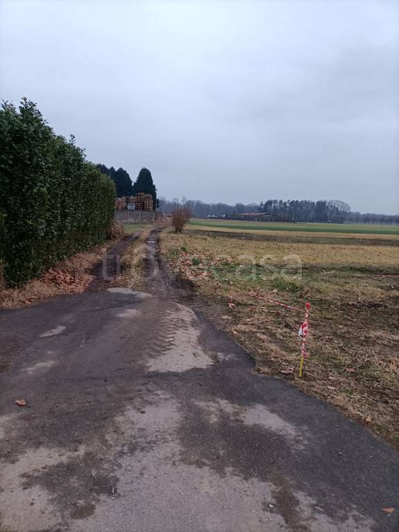 immagine annuncio 1 di 2