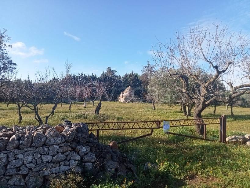 immagine annuncio 5 di 7