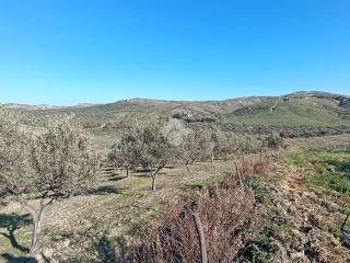 Terreno agricolo in vendita a cropani via firenze