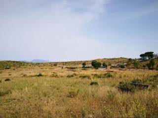 Terreno agricolo all'asta a scalea localita' petrosa